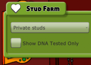 filter for private studs in Hooves of Fire Stud Farm